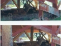 deerundercabin